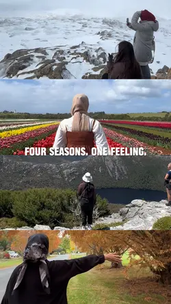 Four seasons split