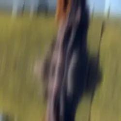 Video+photo :3