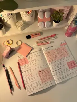 estudiando 