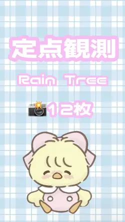 定点観測 12枚