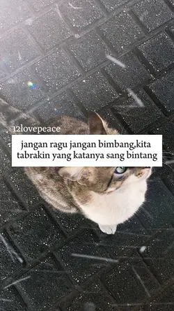 jangan raguu