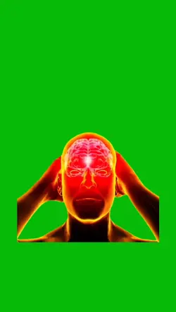 Thinking Brain 