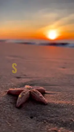 NATURE TEMPLATE