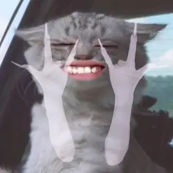 Hand Dancing