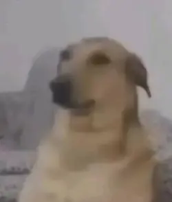 oyleuimcnm