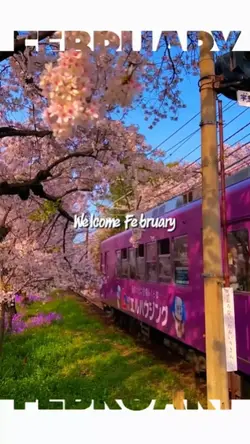 Welcome February