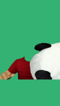 panda head 
