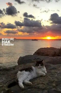hayır olamaz 