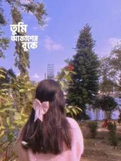 tumi akash er buke