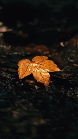 Autumn days