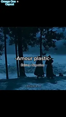 Amour plastic