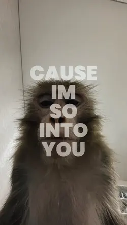 into you