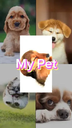 Puppy Day Dog Lover