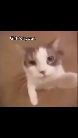 Gift