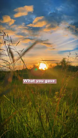 What you gave