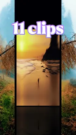 11 clips 