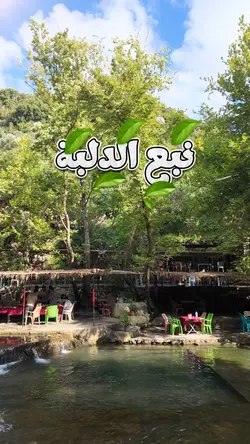 Travel Syria