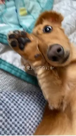 愛し君へ