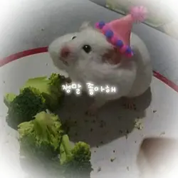 하잉