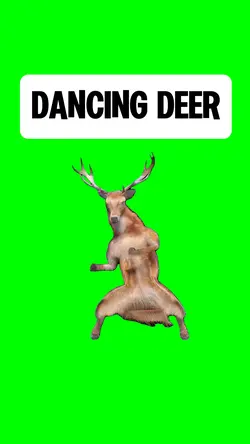 DANCING DEER