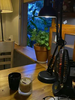 1 ảnh + chỉnh màu