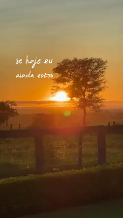 Só quero agradecer 