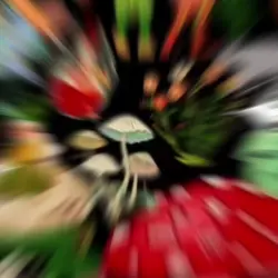 edit animasi