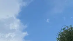 En la secu