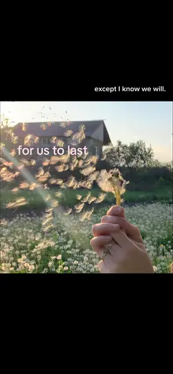 What’d you wish for?