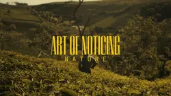 ART OF NOTICING