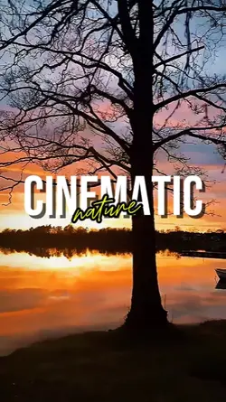 CINEMATIC NATURE