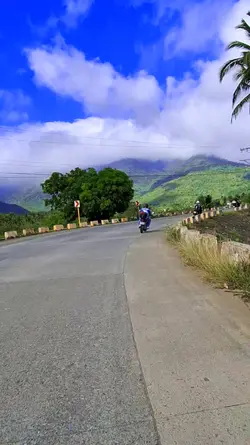 Road trip nature