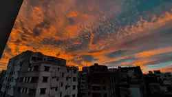 Golden Sky 
