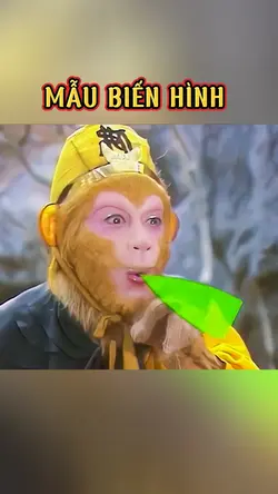 Biến hình
