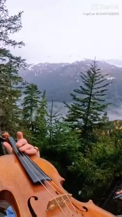 violon