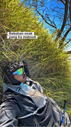 Trend Gunung