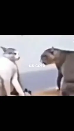 us core