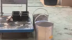 vlogging 