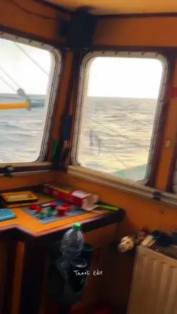 Seagull of Navy