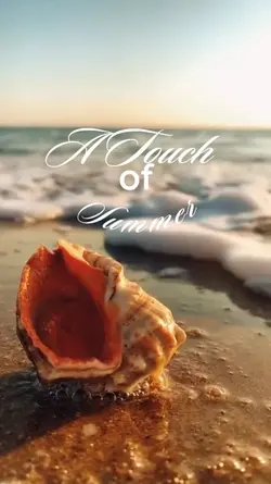 Summer in beach