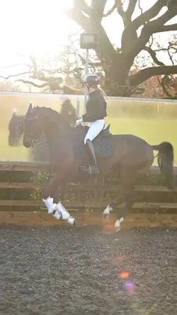 Equestrian