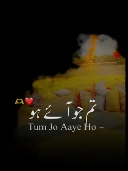 trending on tik tok