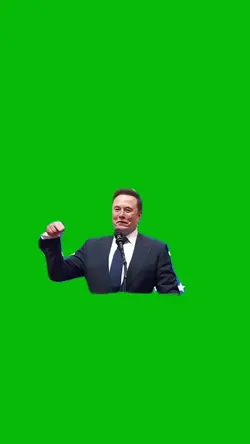 Victory Elon Musk 