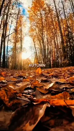 Autumn 2025