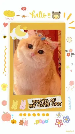 Photo Of My Cute Cat