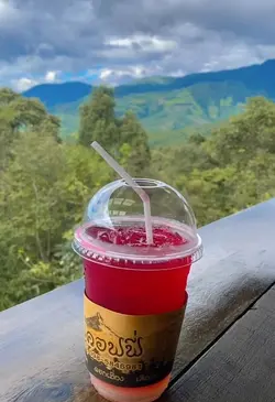 ลมบ่ได้พัดแต่ลมหนาวมา