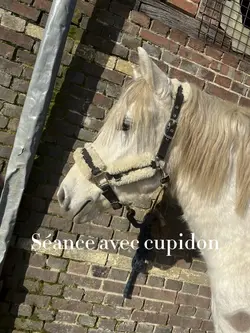 Séance avec cupidon👹
