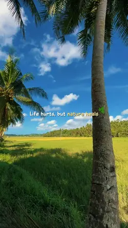 Life hurts but ..
