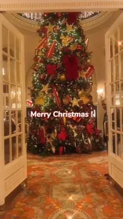 merry christmas