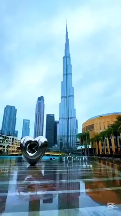One Night in Dubai 